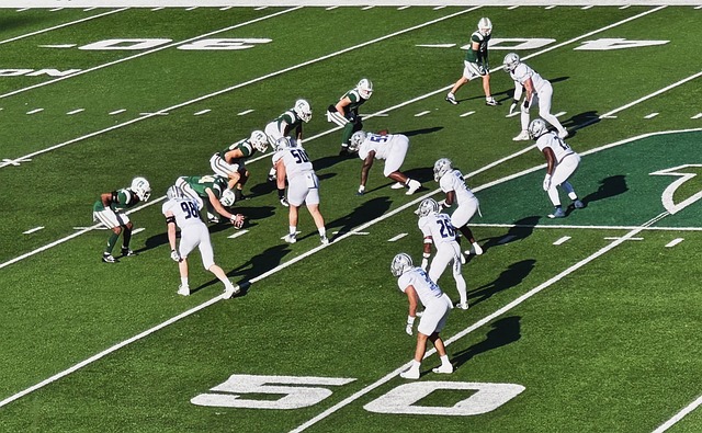 约基奇32 约基奇32